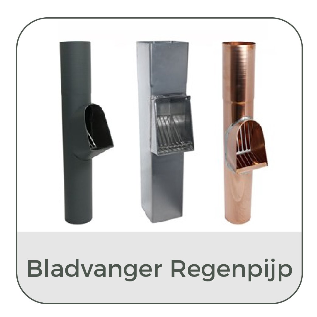 Waterafvoer - Bladvanger Regenpijp