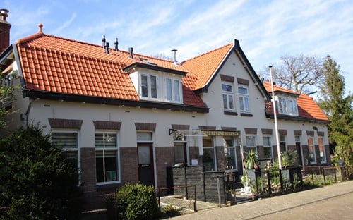 Koramic TDN 44 Natuurrood Dak
