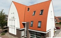 Koramic TDN 44 Natuurrood Dak