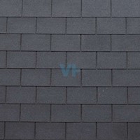 Dakshingles 