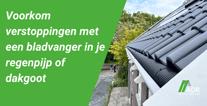 Voorkom verstoppingen met een bladvanger in je regenpijp of dakgoot